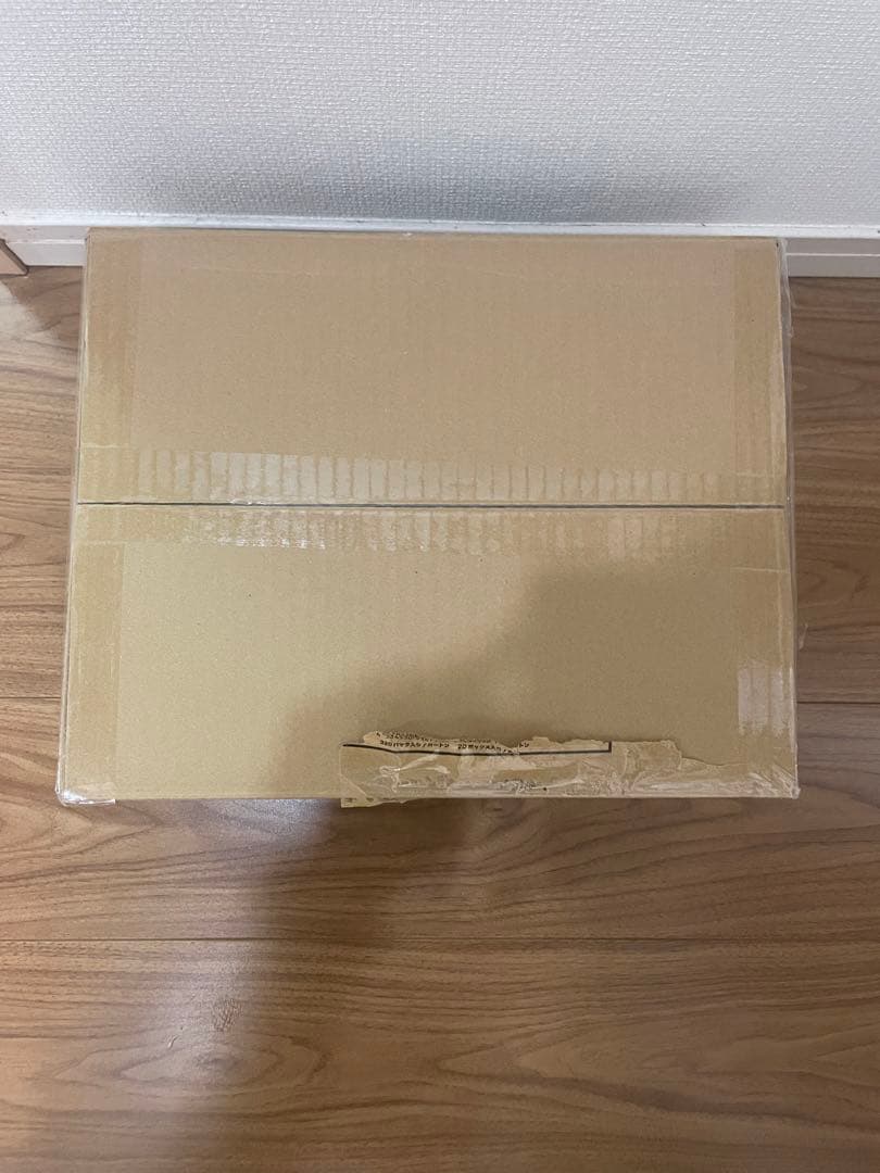 ビルディバイドブライト　負けヒロインが 多すぎる　未開封カートン