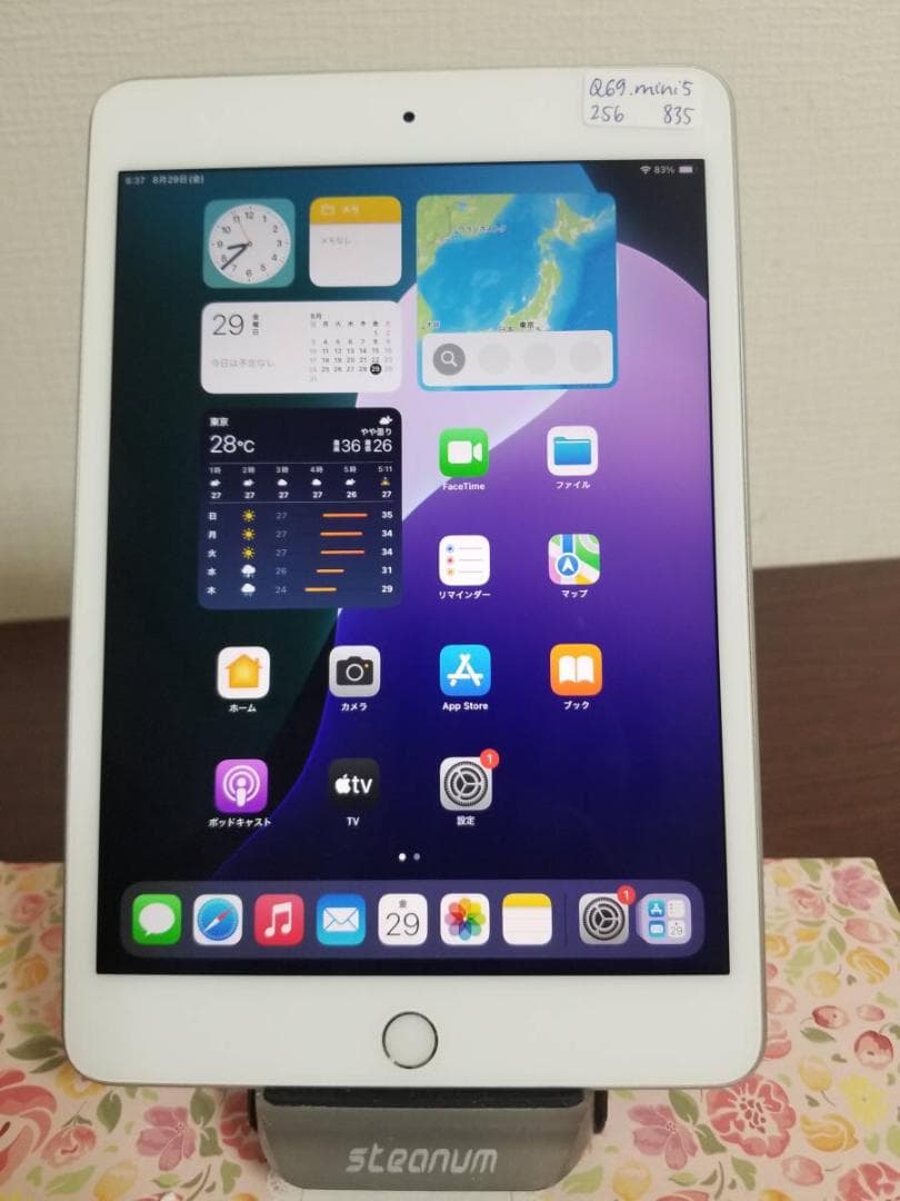 Q69 美品 ipad mini 5 256GB バッテリー89% A2133
