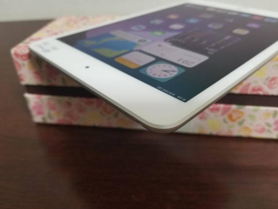 Q69 美品 ipad mini 5 256GB バッテリー89% A2133