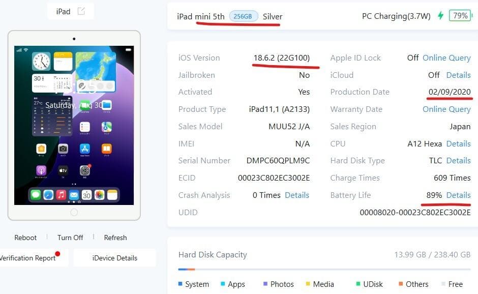 Q69 美品 ipad mini 5 256GB バッテリー89% A2133