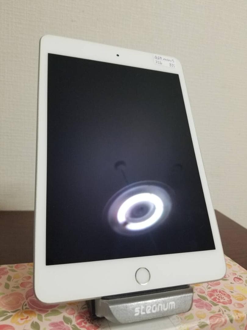 Q69 美品 ipad mini 5 256GB バッテリー89% A2133