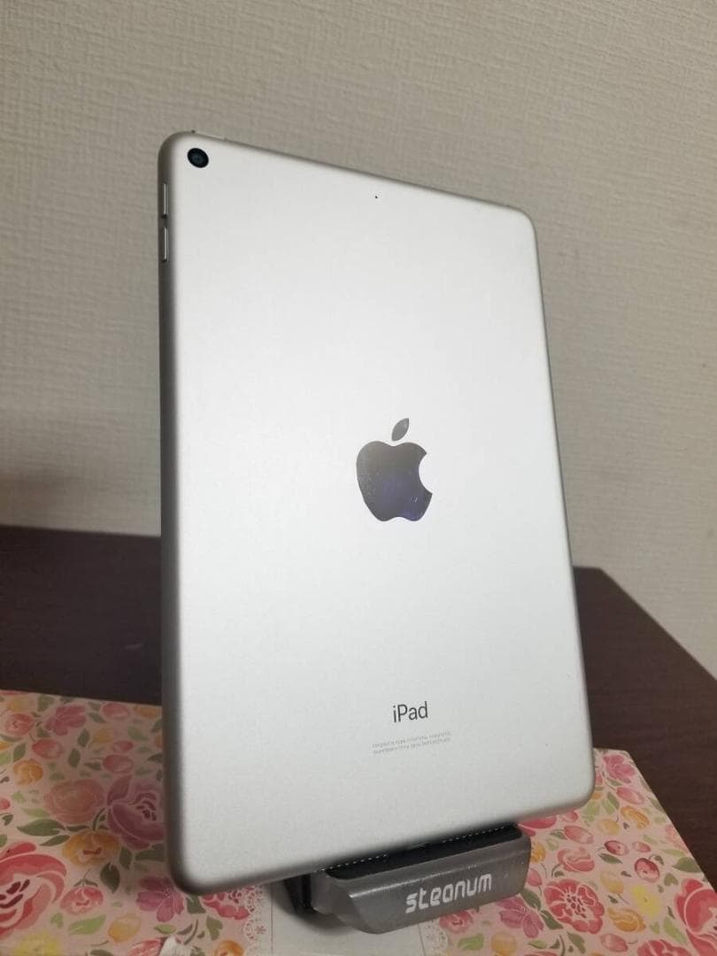 Q69 美品 ipad mini 5 256GB バッテリー89% A2133