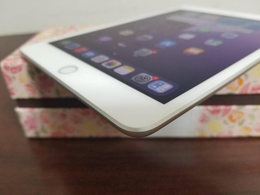 Q69 美品 ipad mini 5 256GB バッテリー89% A2133