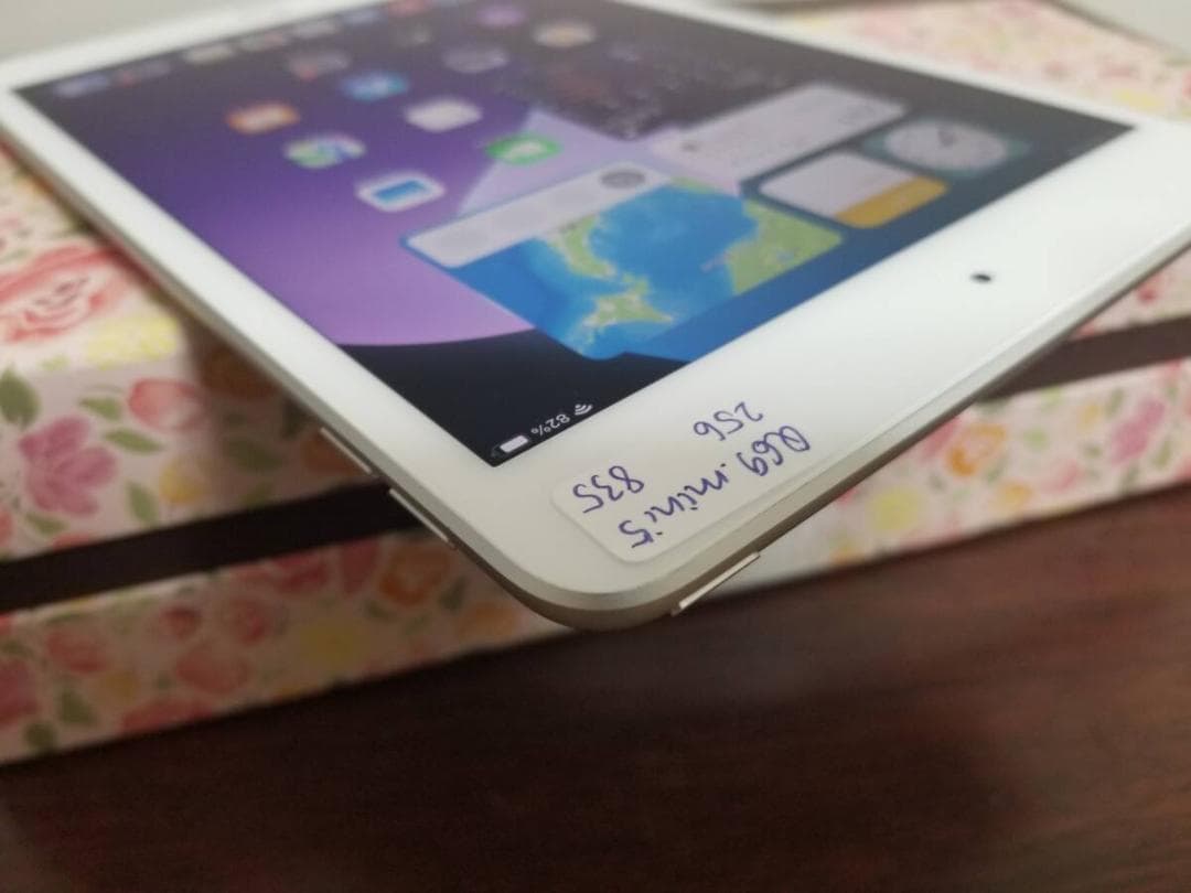 Q69 美品 ipad mini 5 256GB バッテリー89% A2133