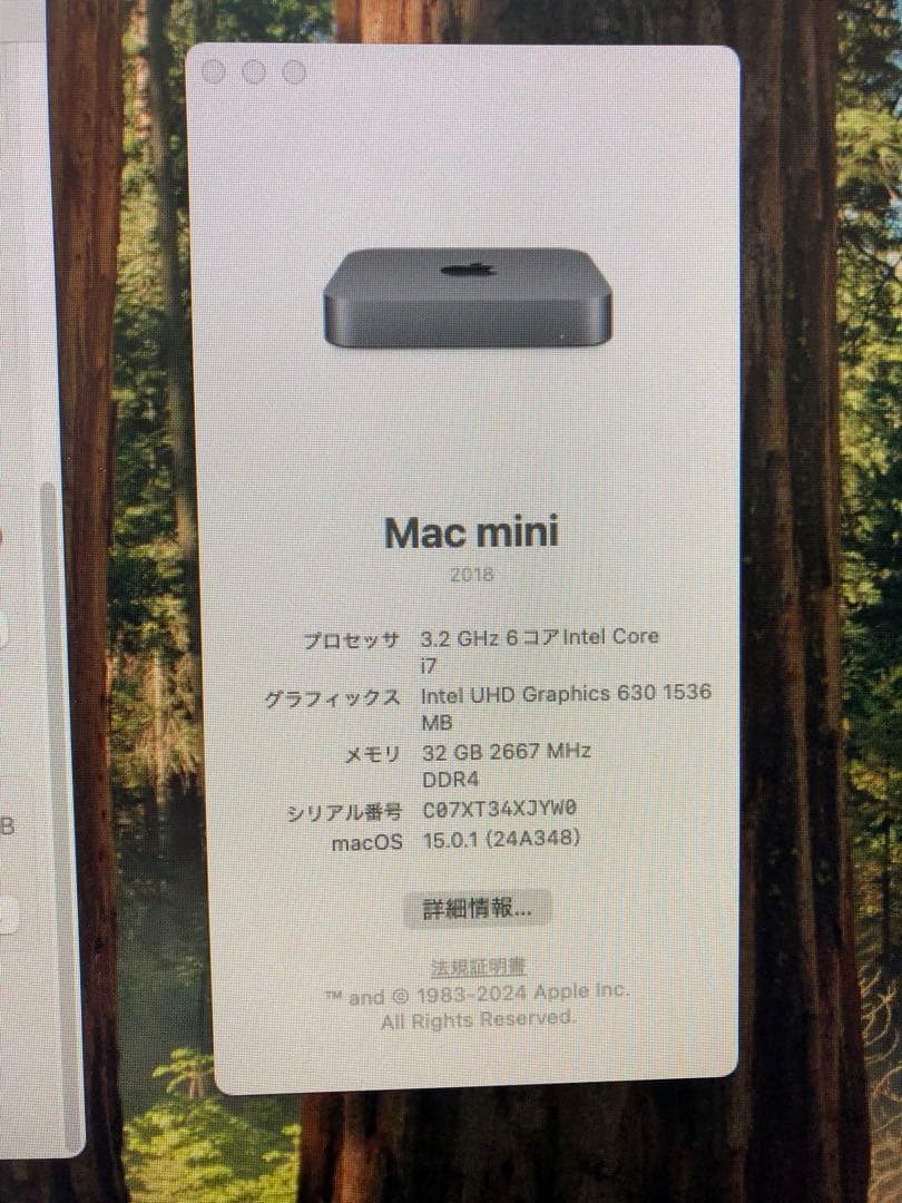大幅値下げ！Apple Mac mini 2018 1TB SSD 32GB
