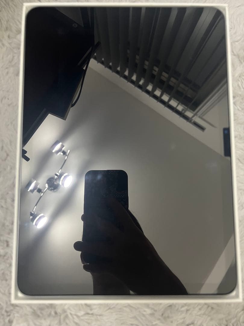 Apple iPad Air 11インチ (M2) 128GB 本体