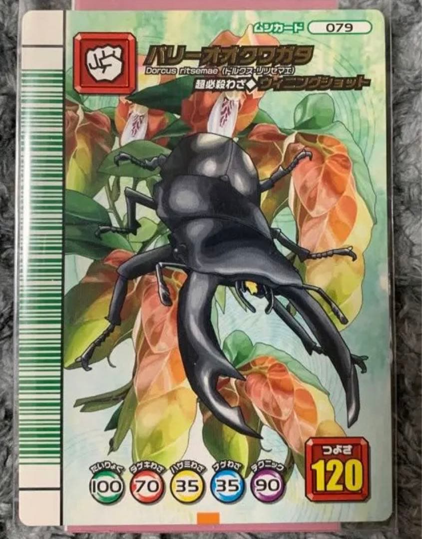 ムシキング パリーオオクワガタセット