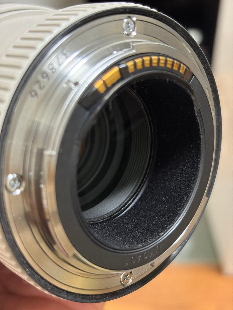 レンズ(ズーム) Canon EF70-200mm f/4L IS USM