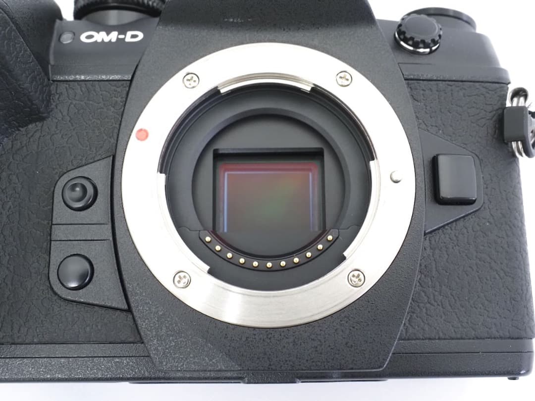 OLYMPUS OM-D E-M1 MkⅡ ボディ