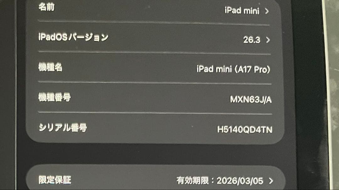 iPad mini A17 Pro 128GB 美品