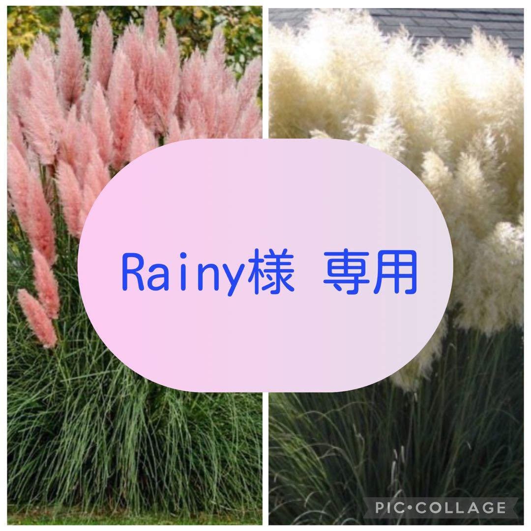 その他 Rainy