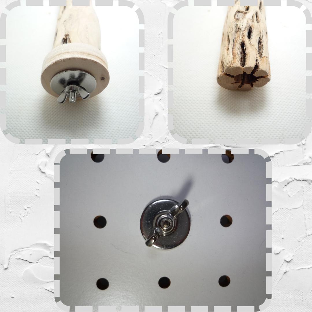 R@　おまとめ　カクタスパーチ　３本