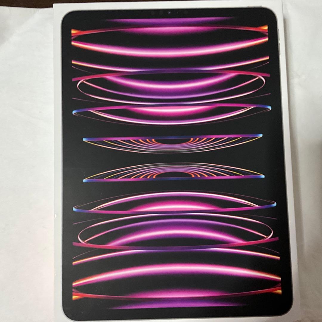 iPad Pro 11inch Cellular 256GB ペン付