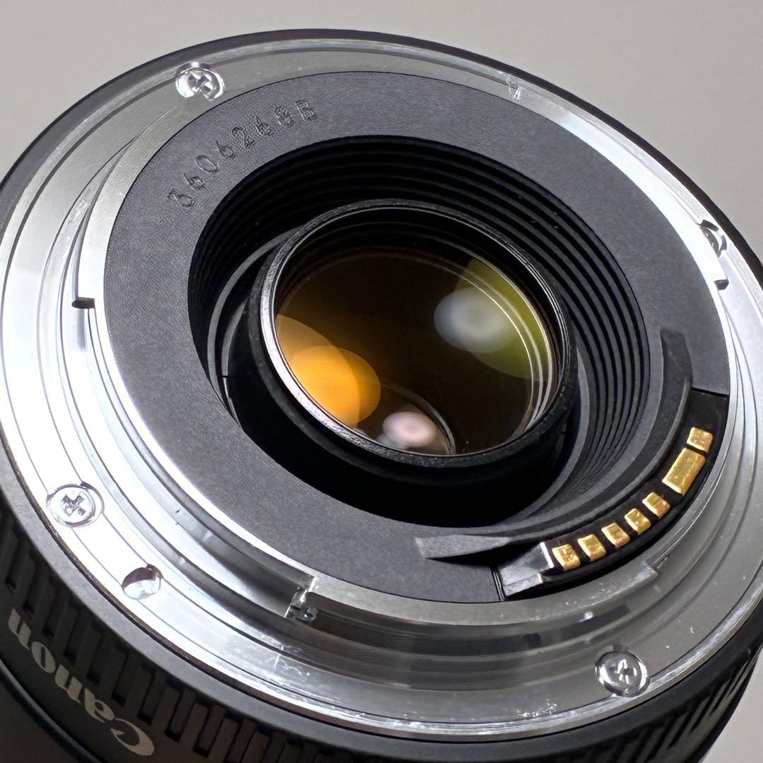 ⭐️美品⭐️キャノン Canon EF75-300, 35-80mm ダブルレンズ