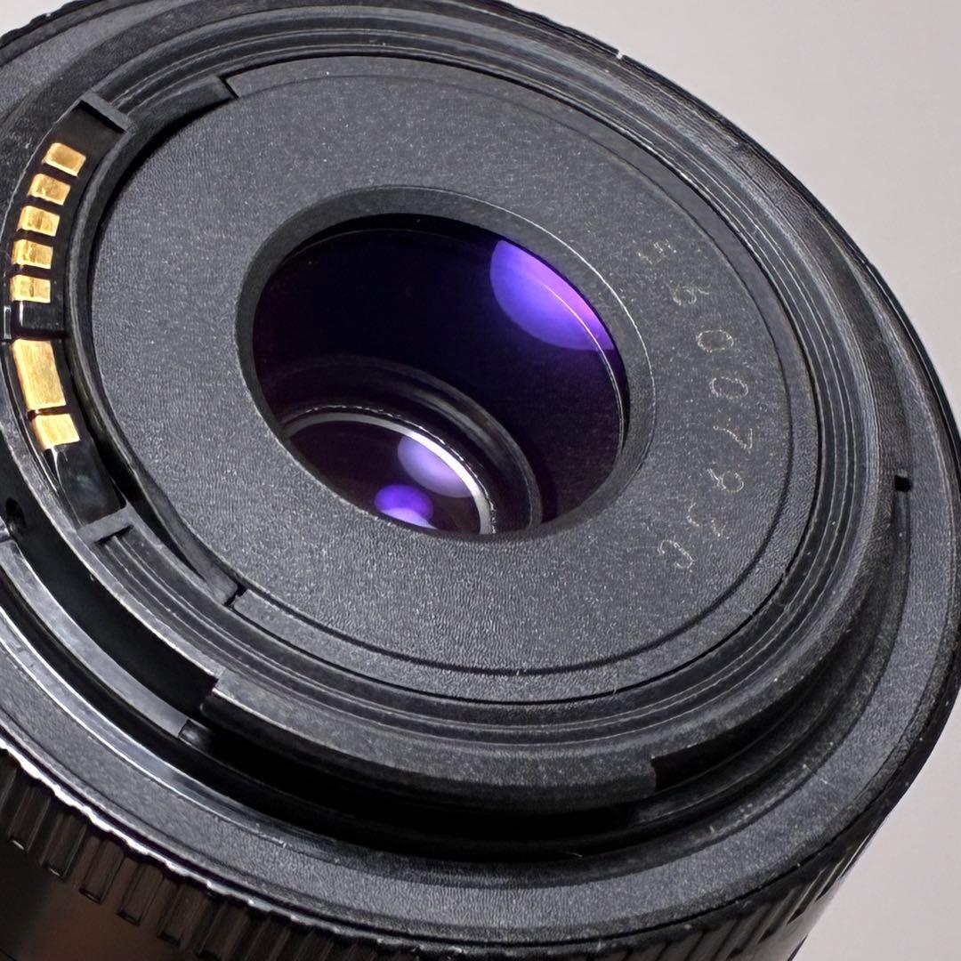 ⭐️美品⭐️キャノン Canon EF75-300, 35-80mm ダブルレンズ