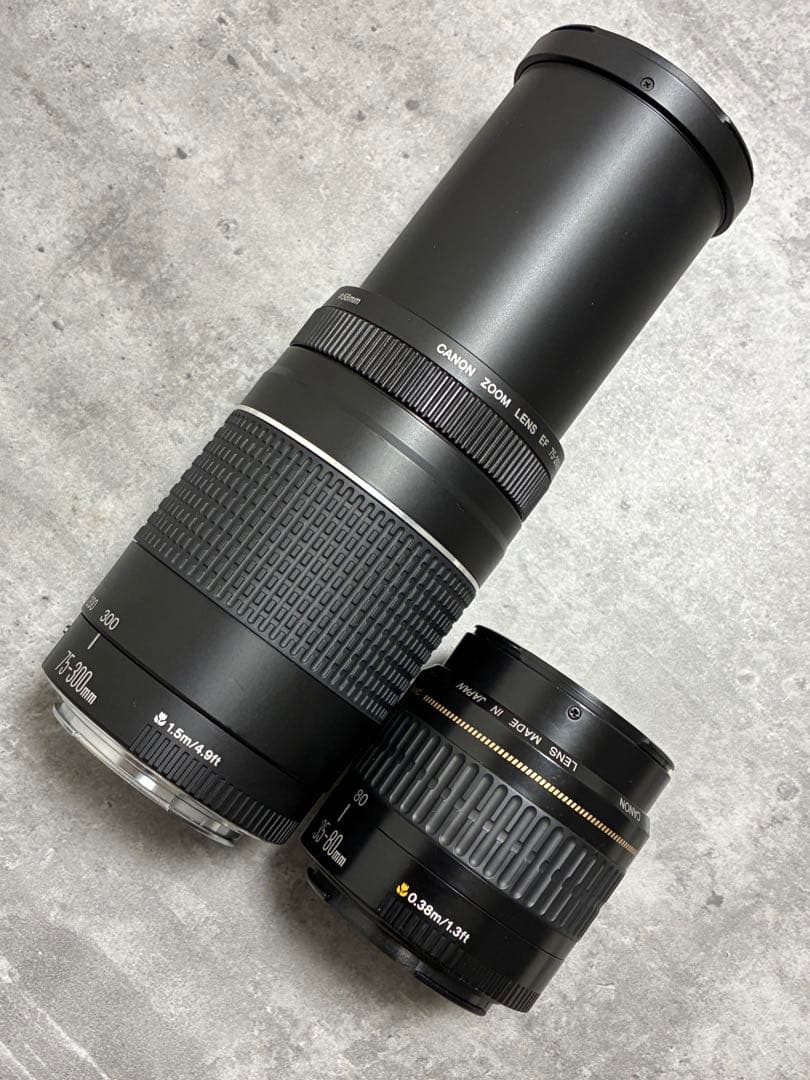 ⭐️美品⭐️キャノン Canon EF75-300, 35-80mm ダブルレンズ