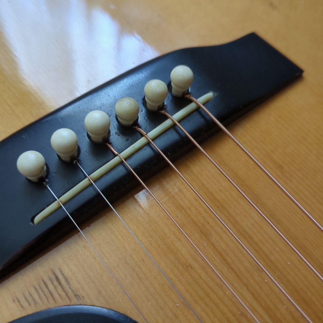 ギター TF MORRIS W50