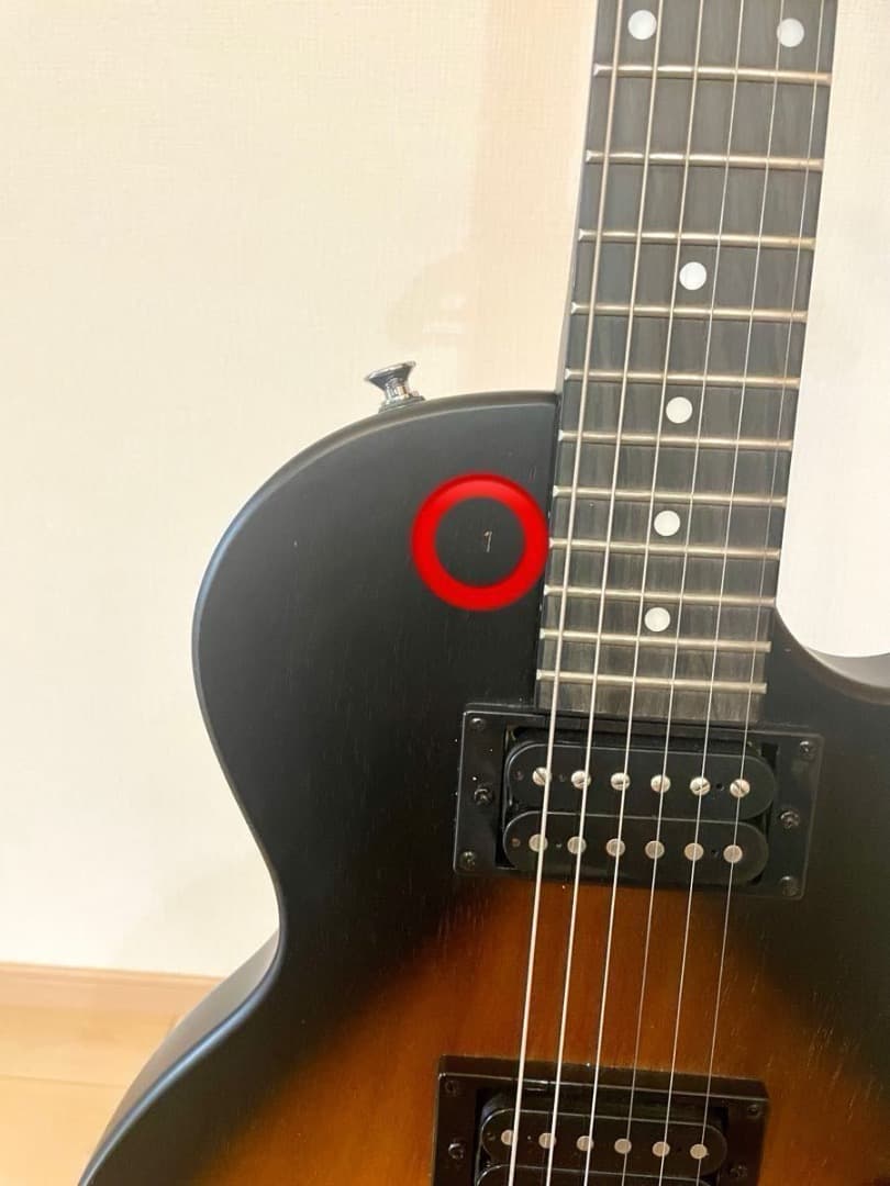 ギター Epiphone Les Paul Special VE