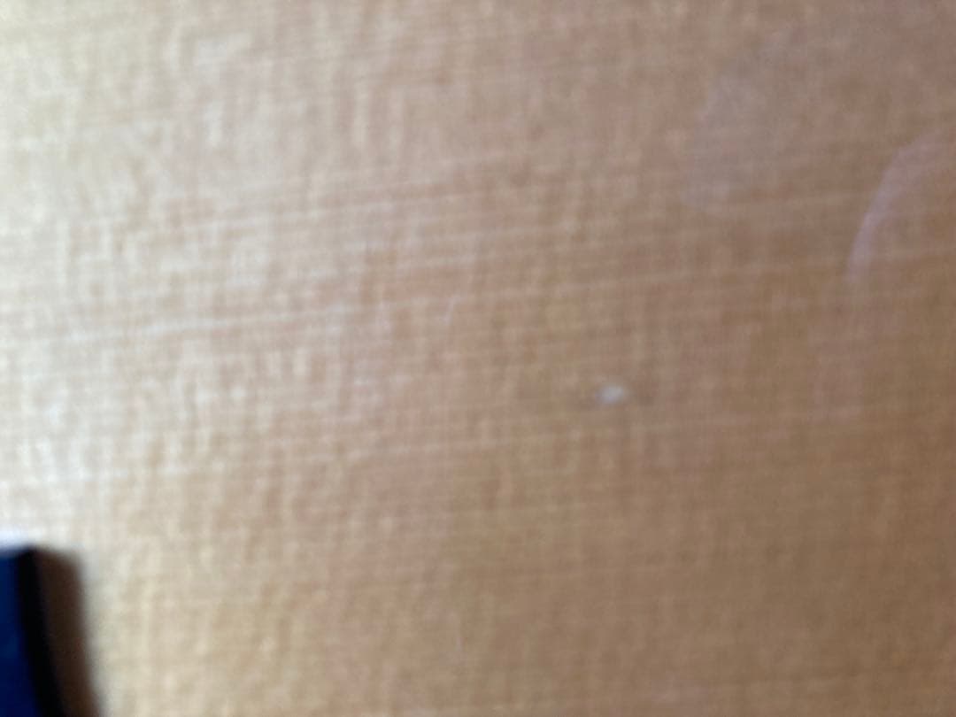 w*a様 Aria Dreadnought AF-1600N【美品・レア】★最終