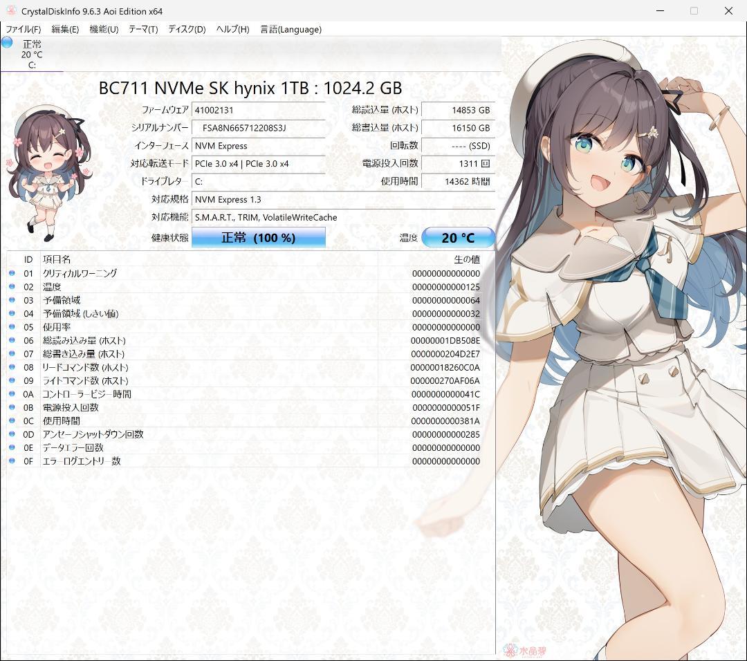 SK hynix 2230 NVMe SSD 1TB GEN3x4健康度100％