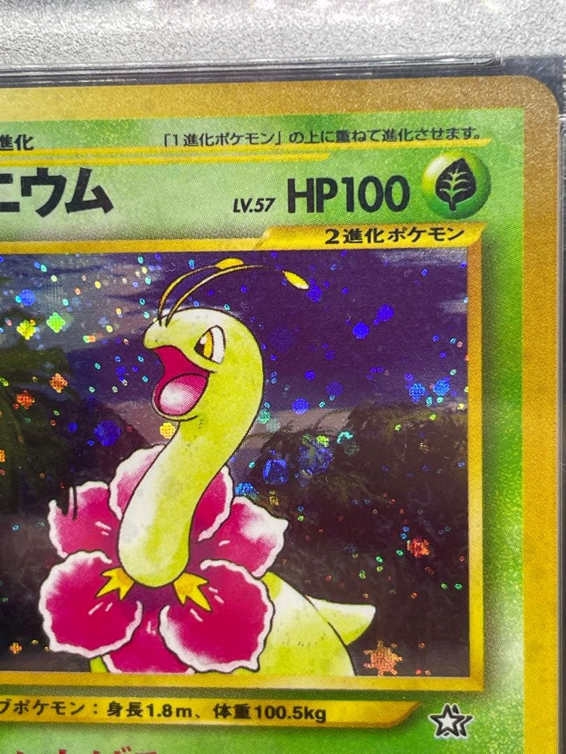 メガニウム 旧裏　psa8 154 金、銀、新世界へ... ポケモンカード