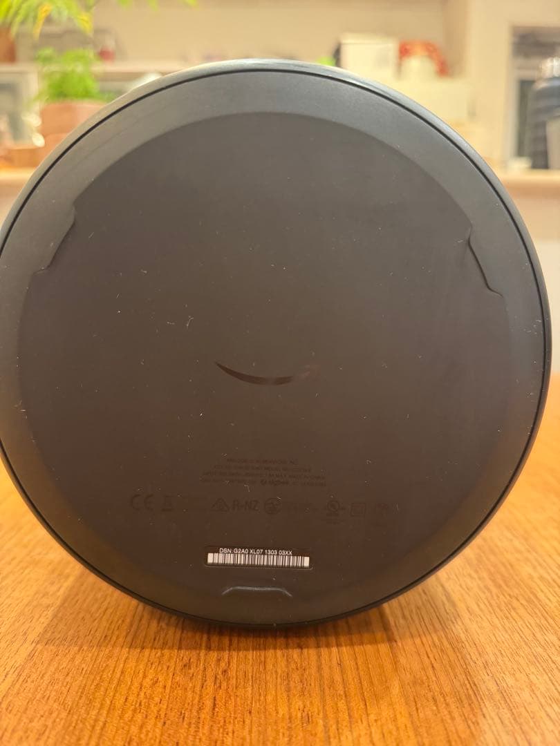 2台セット Amazon echo studio