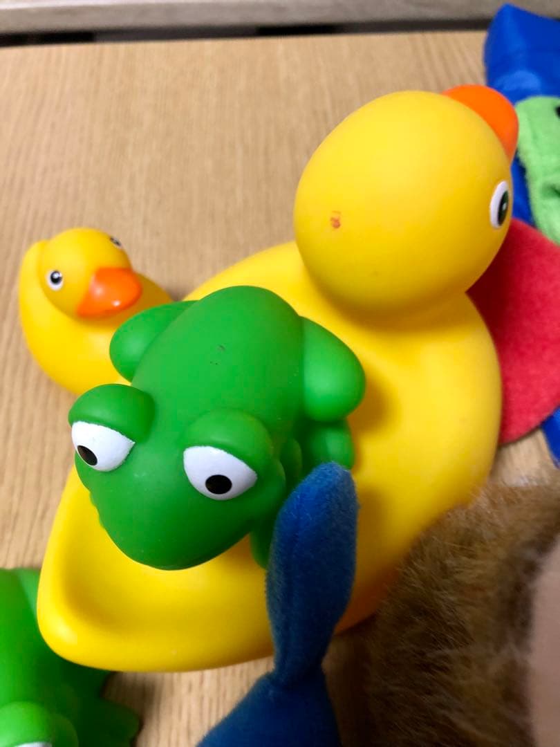 ディズニー英語システム プレイアロング ブルーレイ　新子役版　字幕あり