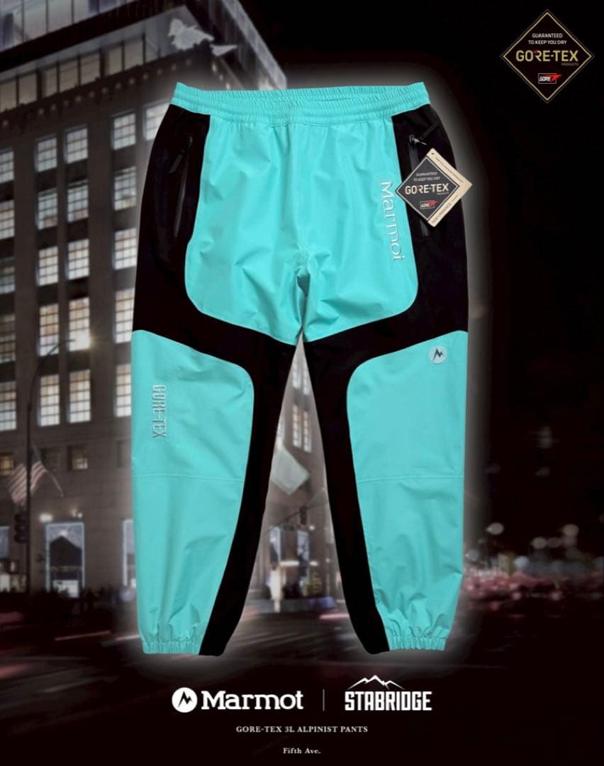 3点セット STABRIDGE Marmot GTX 3L ALPINIST