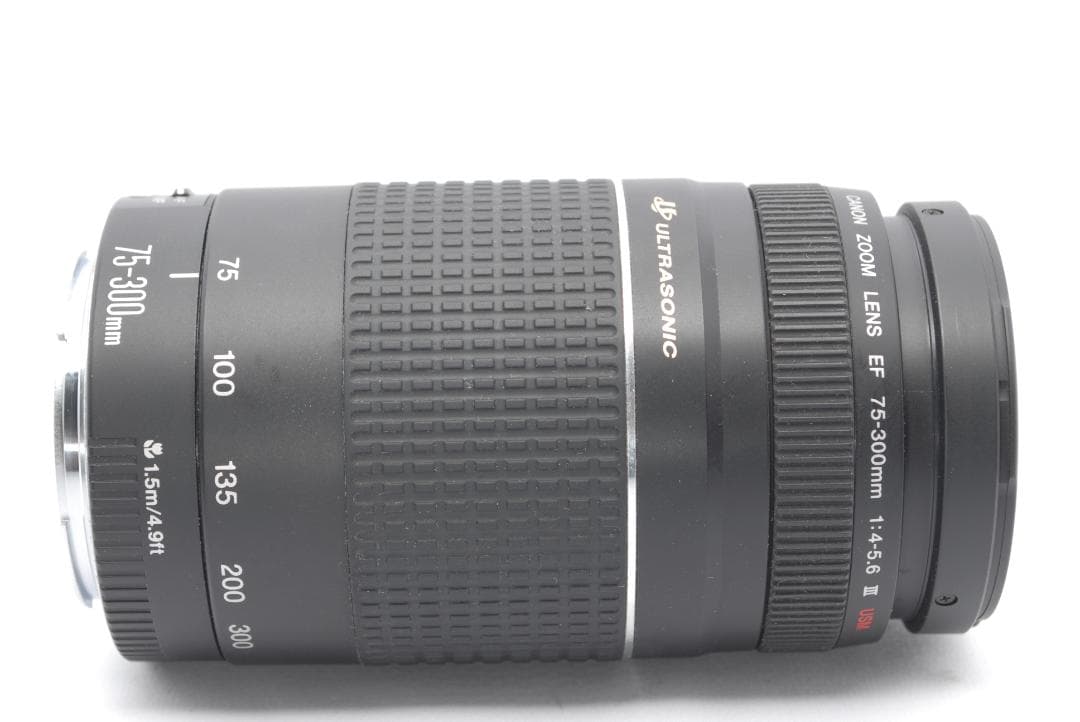 ✨超望遠✨Canon EF75-300mm USM✨美品✨大特価✨フルサイズ✨