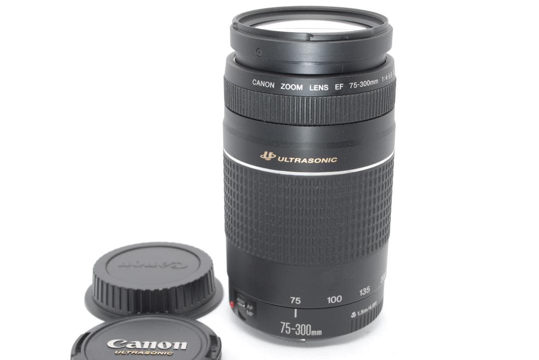 ✨超望遠✨Canon EF75-300mm USM✨美品✨大特価✨フルサイズ✨