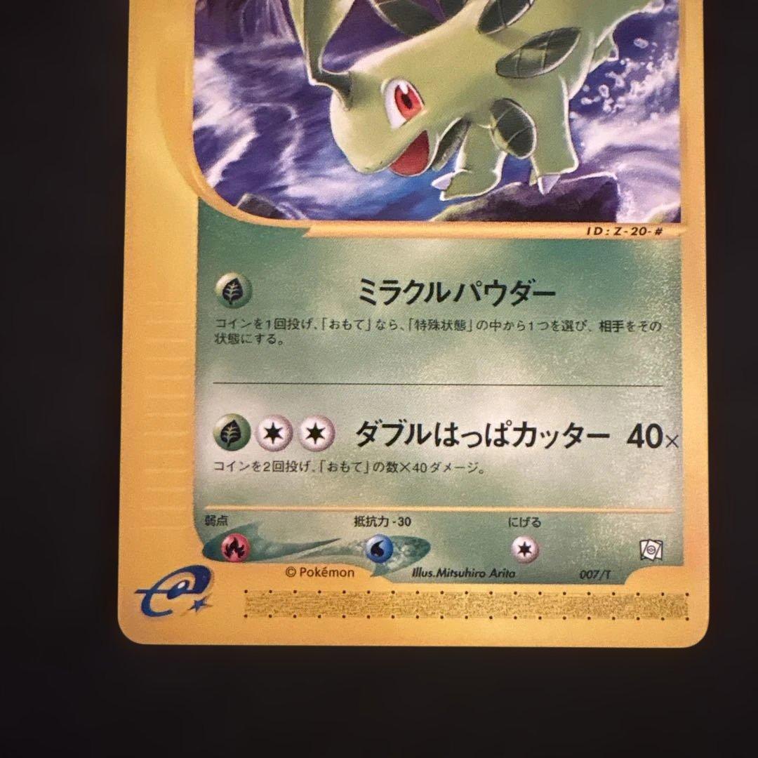 ポケカ eカード マグマラシ ベイリーフ アリゲイツ トレーナーズマガジンプロモ