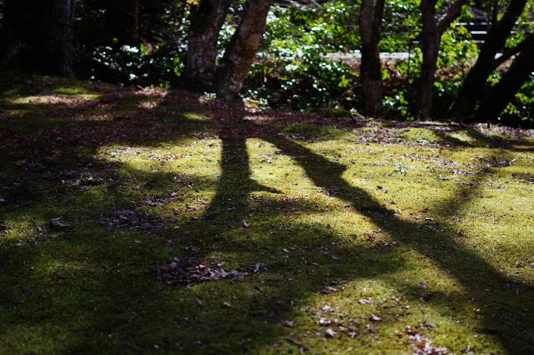 レンズ(単焦点) smc PENTAX-DA 35mmF2.4AL