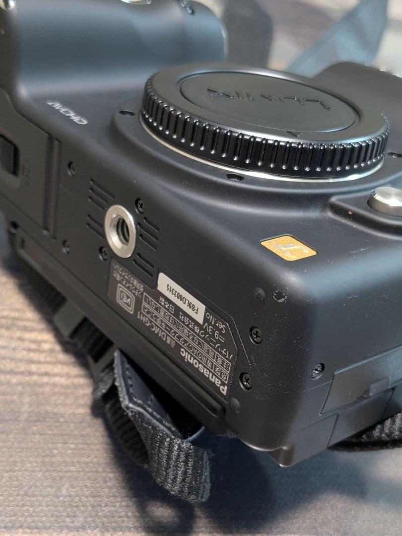 ルミックス LUMIX GH1 パナソニック ミラーレス一眼