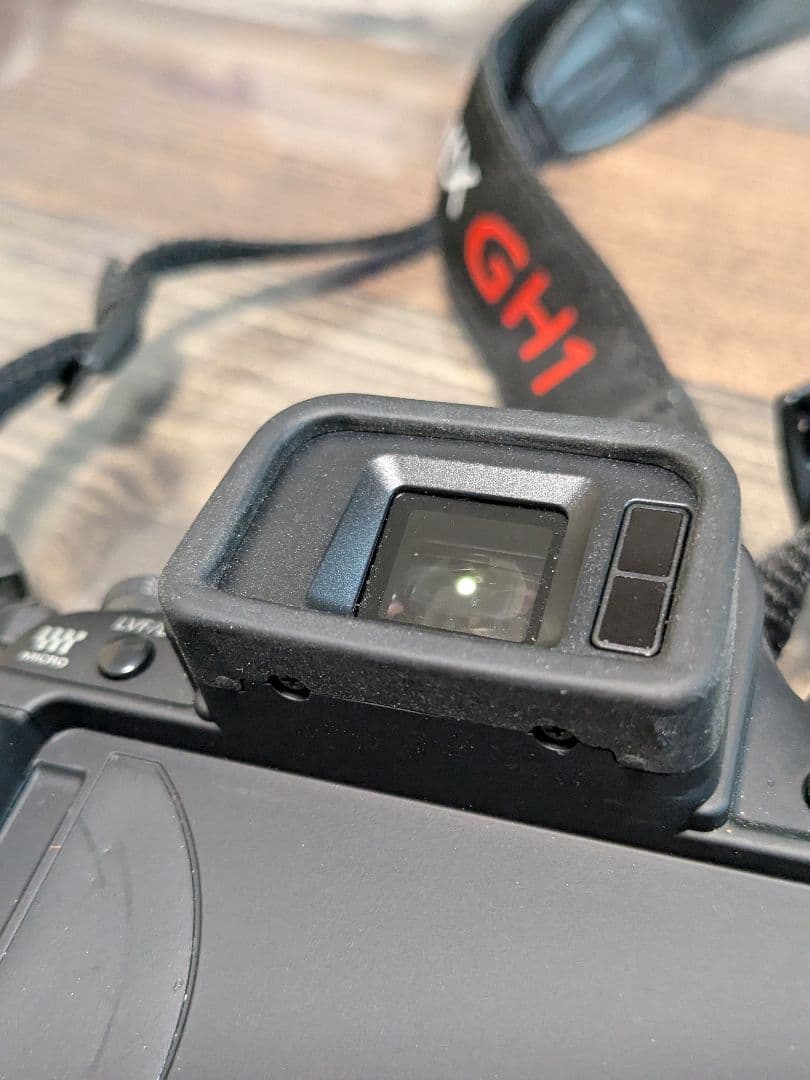 ルミックス LUMIX GH1 パナソニック ミラーレス一眼