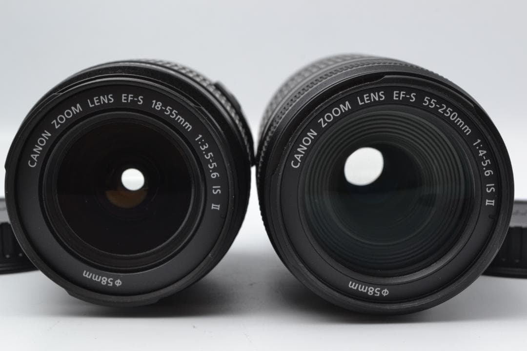 Canon EOS Kiss X5 ダブルズームキット ショット数 5536枚