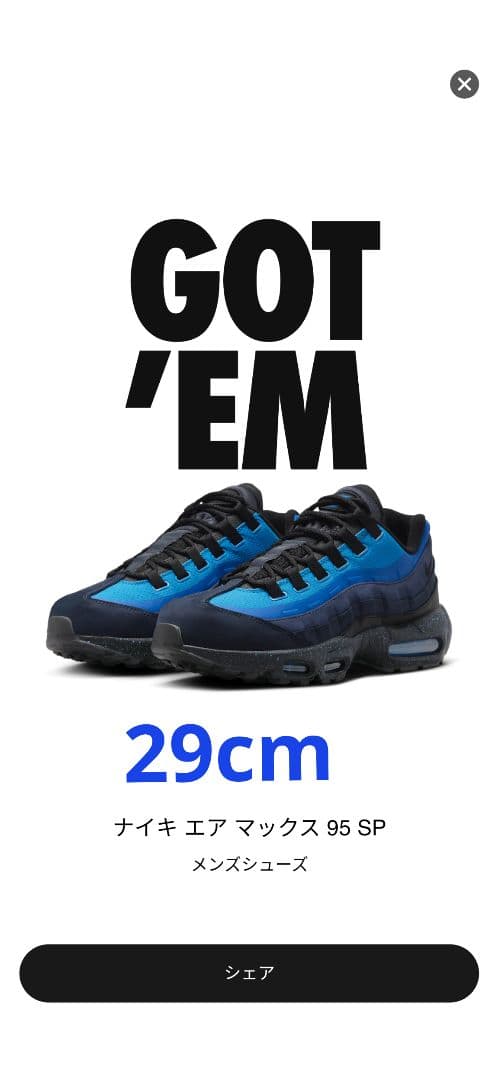 Stash × Nike AirMax95 スタッシュエアマックス95 29cm