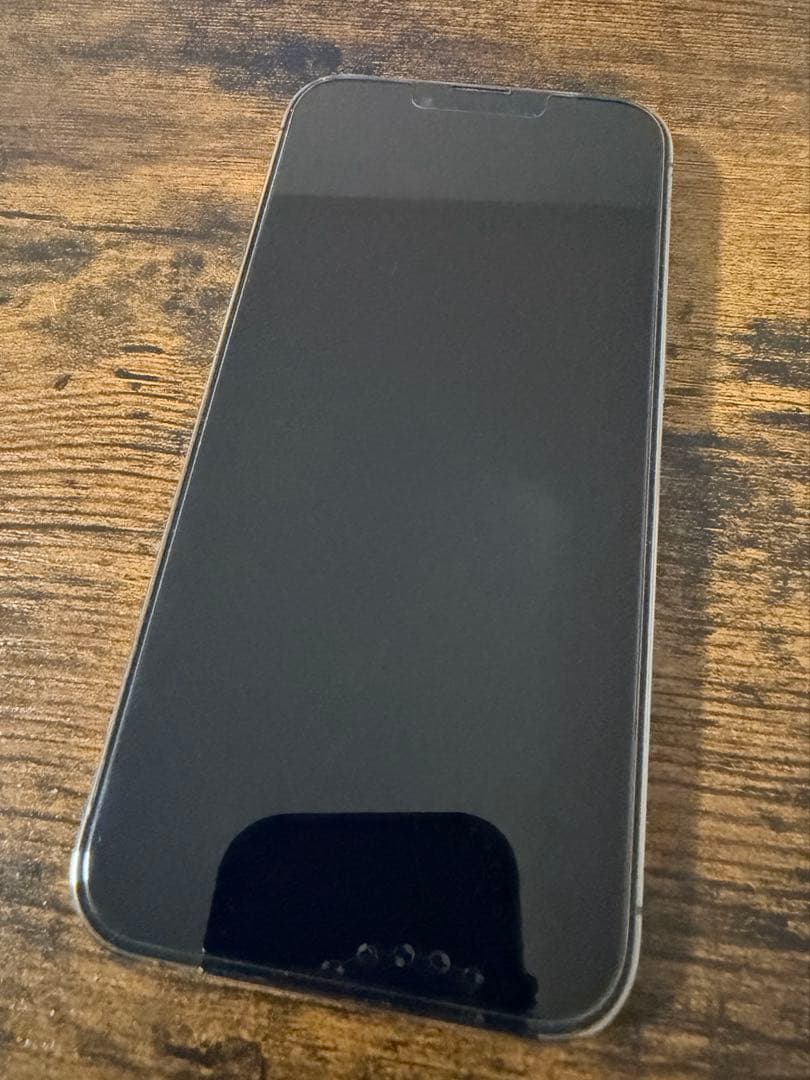 Apple iPhone 13 Pro グラファイト 256GB