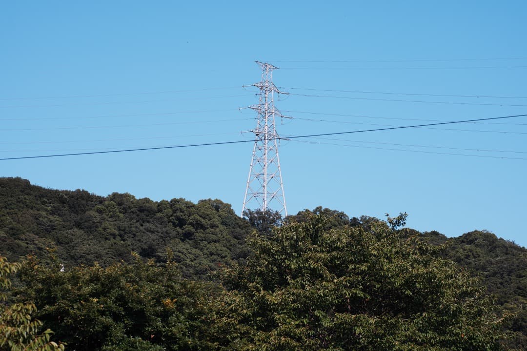 レンズ(単焦点) Amazing makro-Planar 100mm F2.8