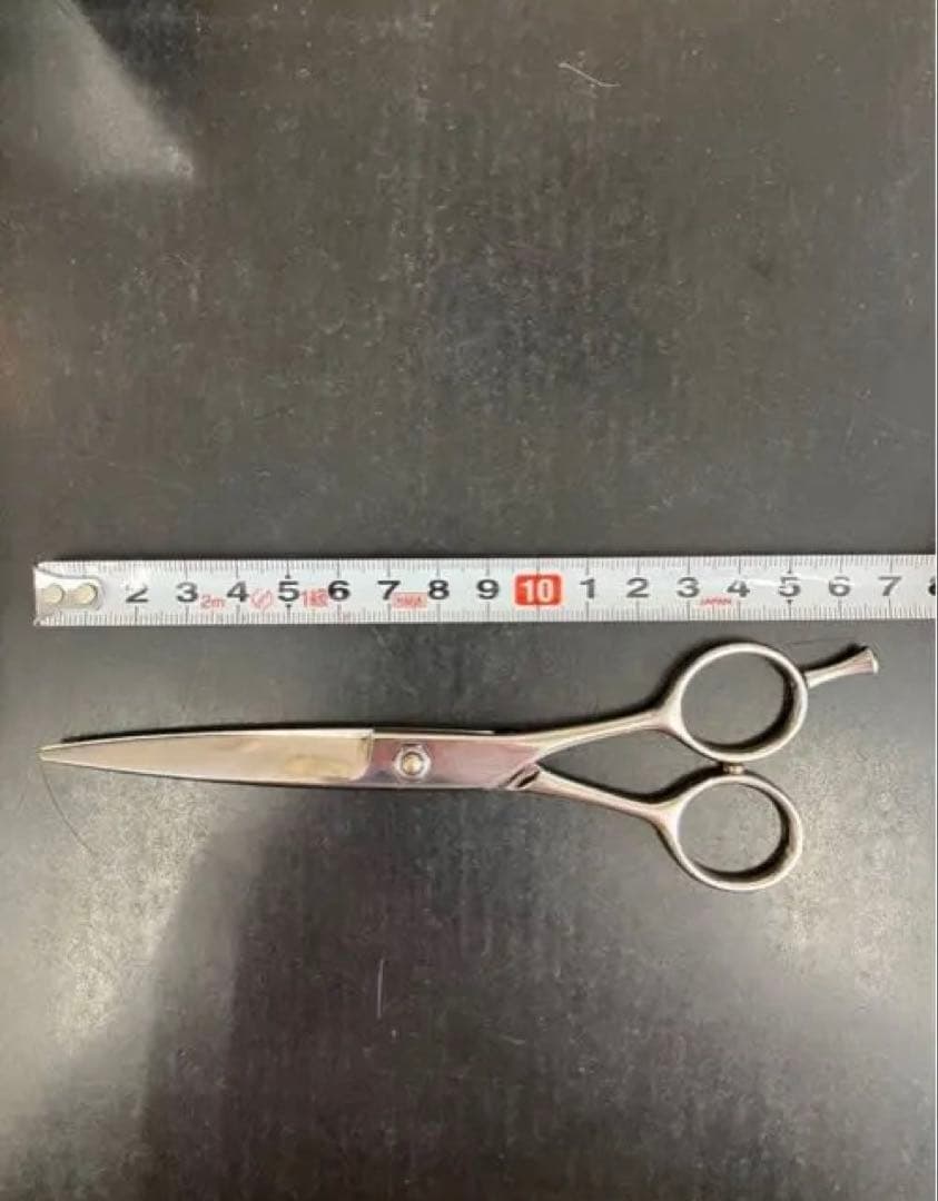 ネットワーク　network シザー　ドライシザー　スライド　笹刃　6インチ