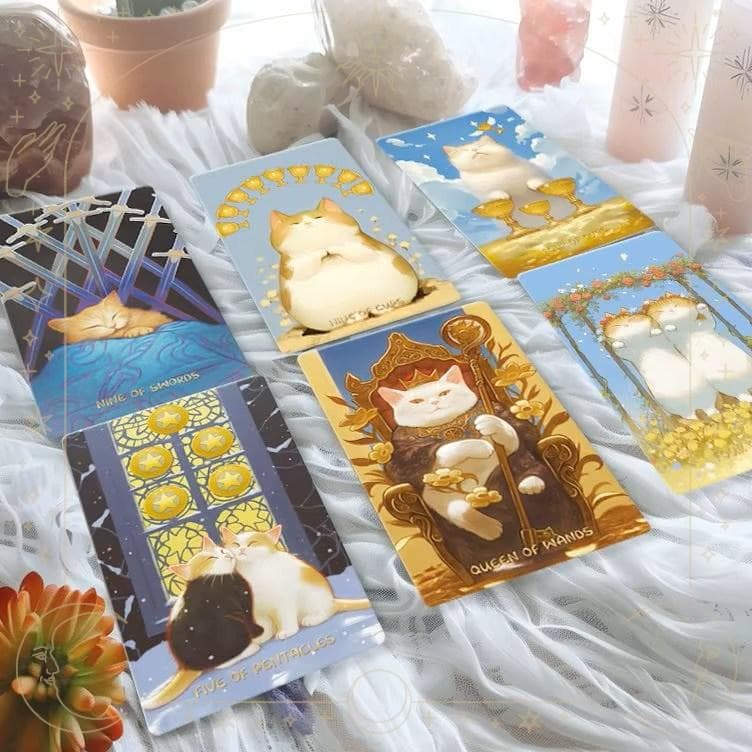 たけちゃん★フォロー割引