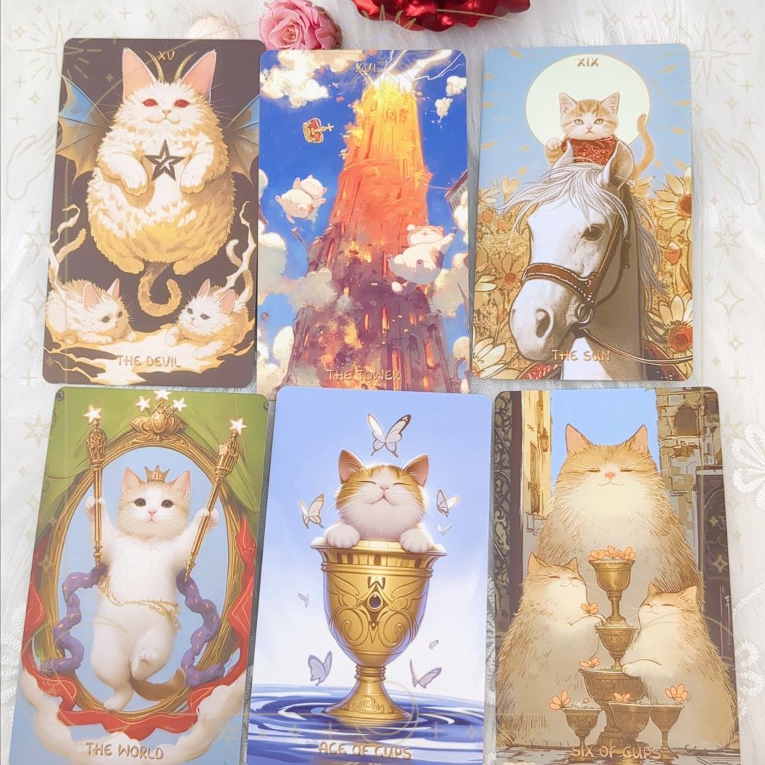 たけちゃん★フォロー割引