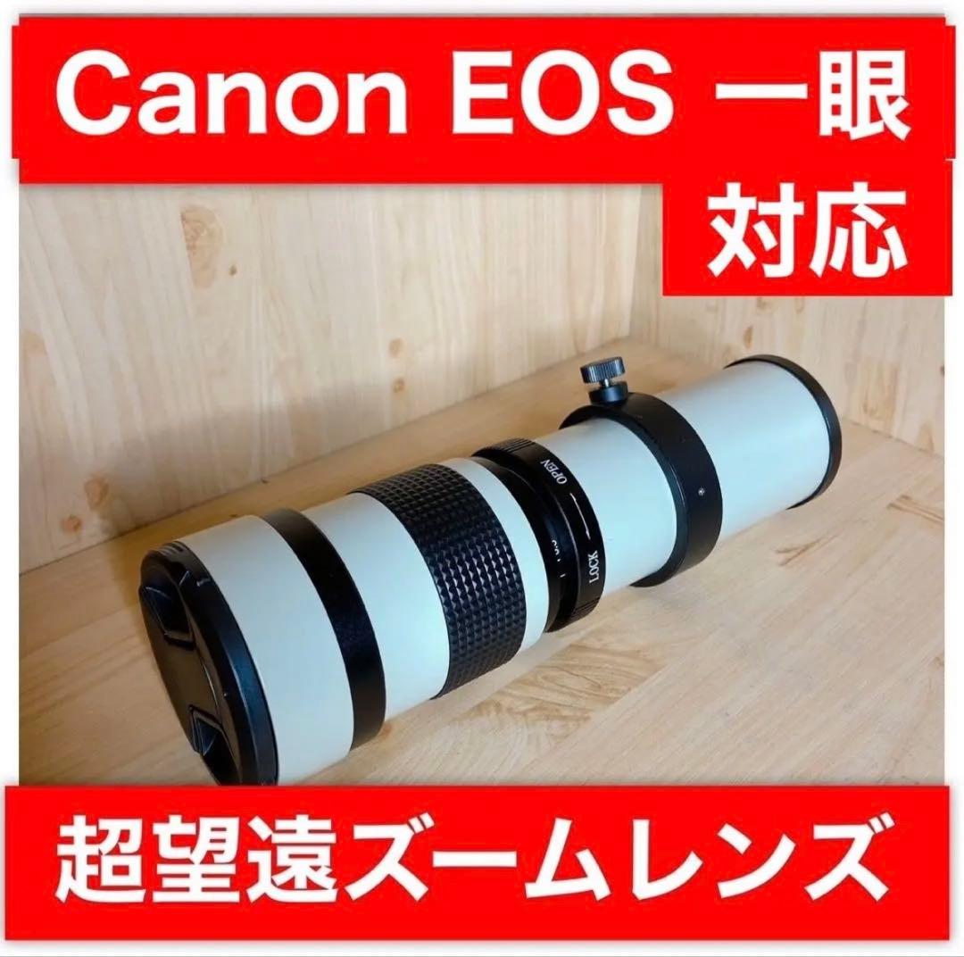 Canon一眼レフ用ズームレンズ！初心者サポート付き！袋付き！即決アダプター付き