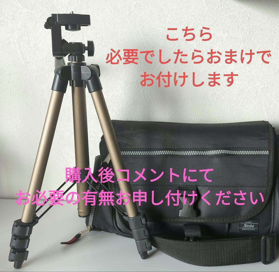 キャノン Canon iVIS HF M43 ビデオカメラ 完動品