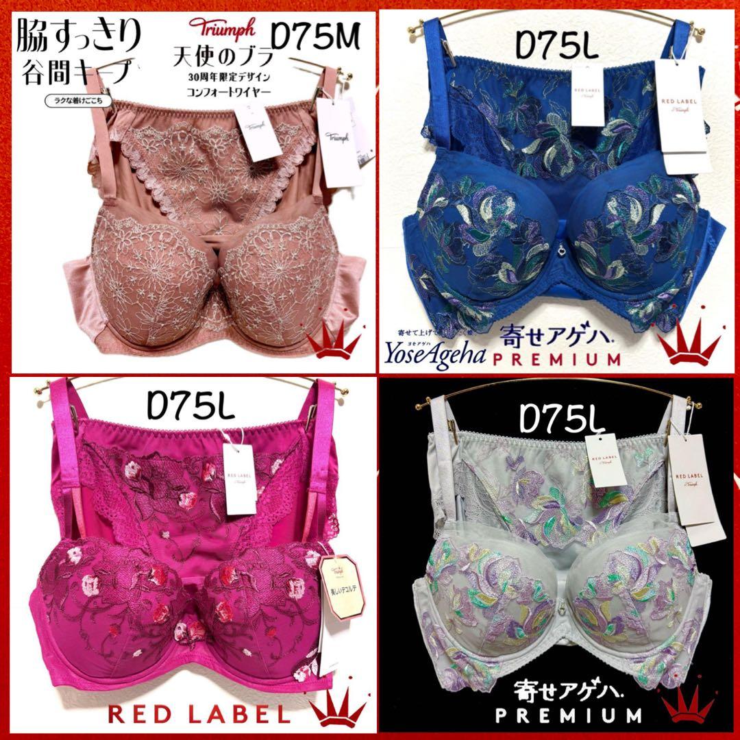 D75L トリンプ プレミアム 寄せアゲハ 花と油絵 ブラ＆ショーツ M008