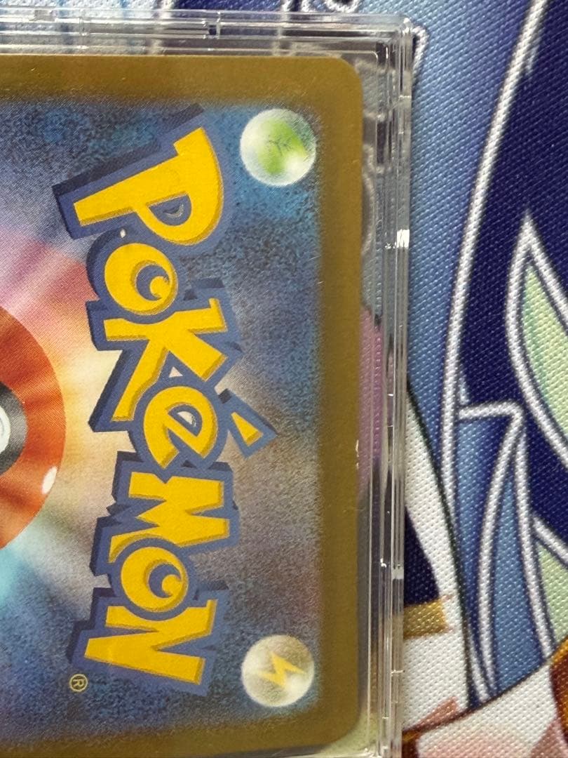 メガメガニウム　sar