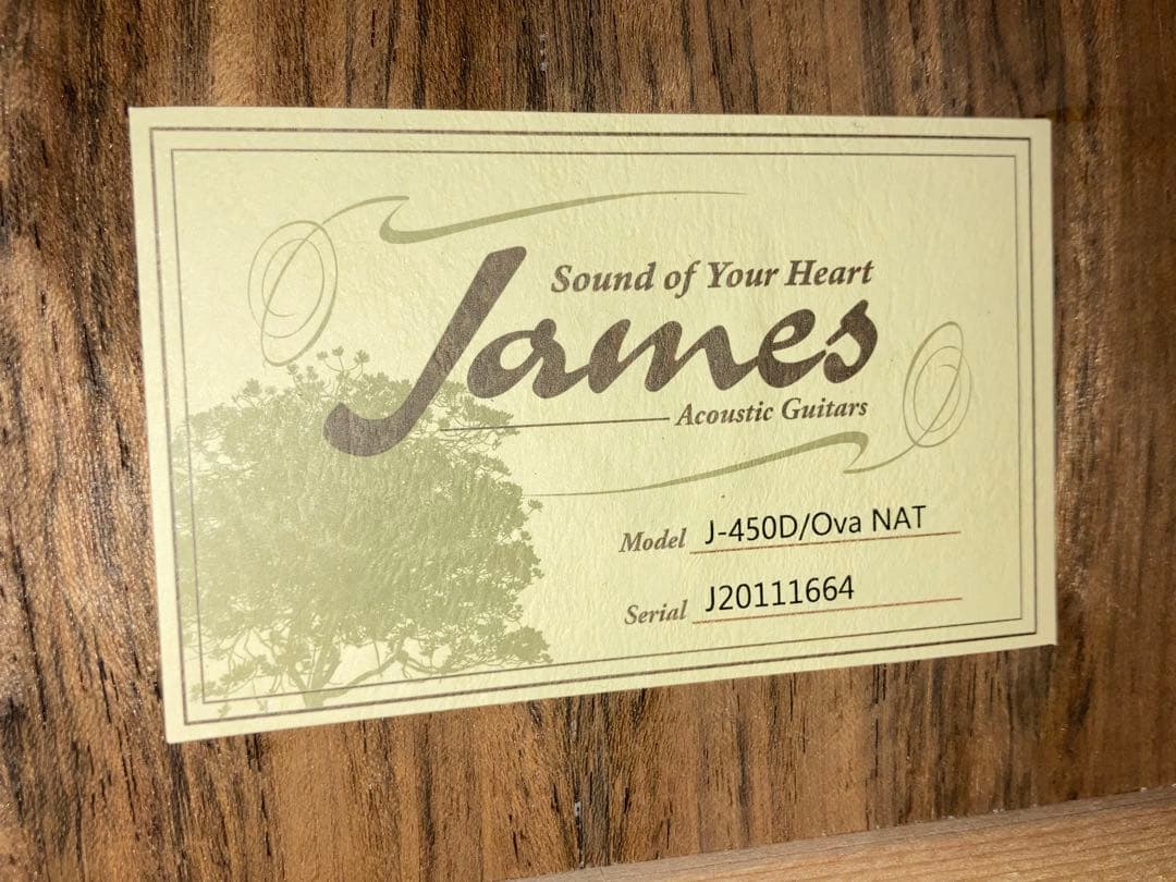 James J-450D/Ova NAT ジェームスエレアコギター