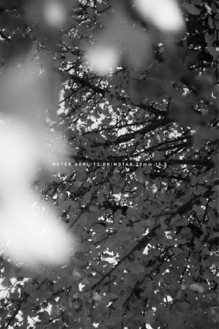 Meyer Gorlitz Primotar F3.5 75mm バブルボケ