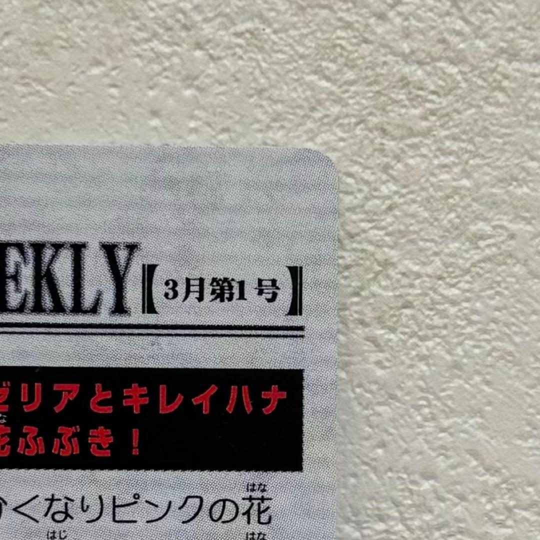 【貴重】キレイハナ ポケモンウィークリー