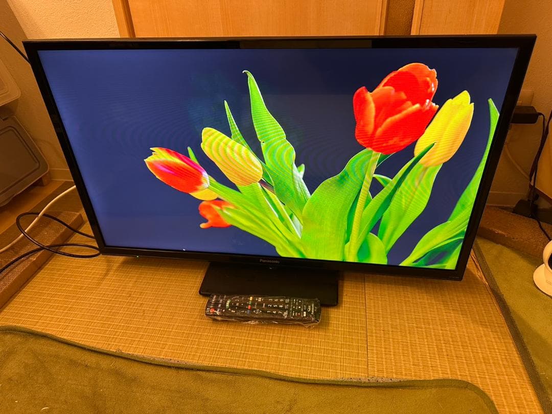Panasonic　パナソニック 32型 テレビ TH-32G300 2019年