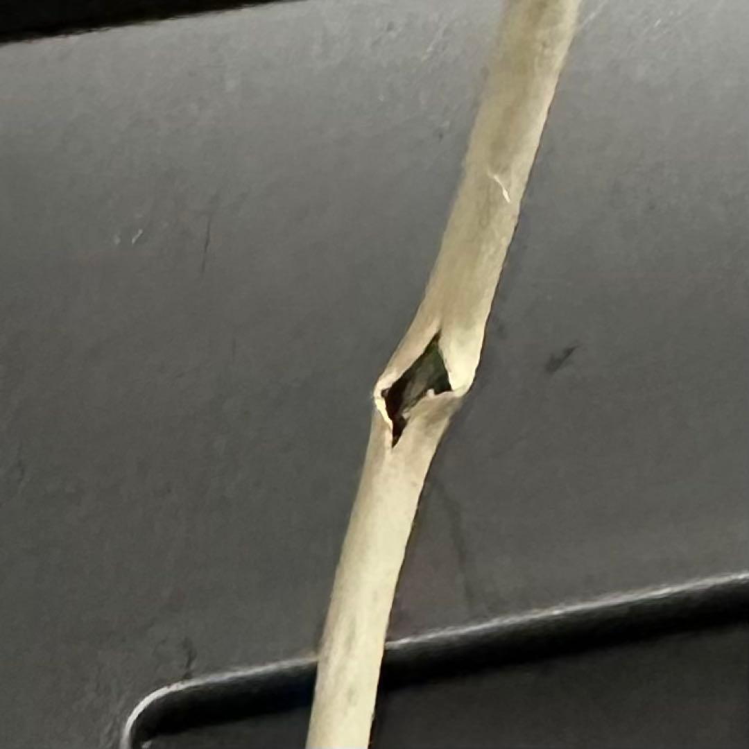 MacBook Air 13インチ A1369　EMC 2392